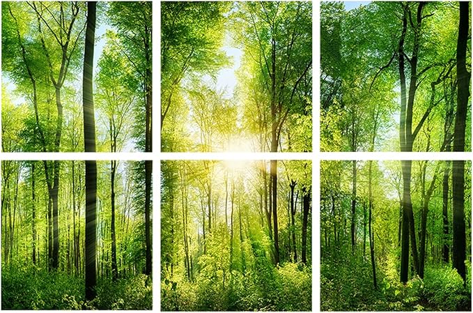 YPY Sound Proofing Panels for Walls Morning sunrise forest green trees: 6 Pack 72×48 Inches Decorative Art Acoustic Panel Sound Dampening Panels Absorbing Treatment