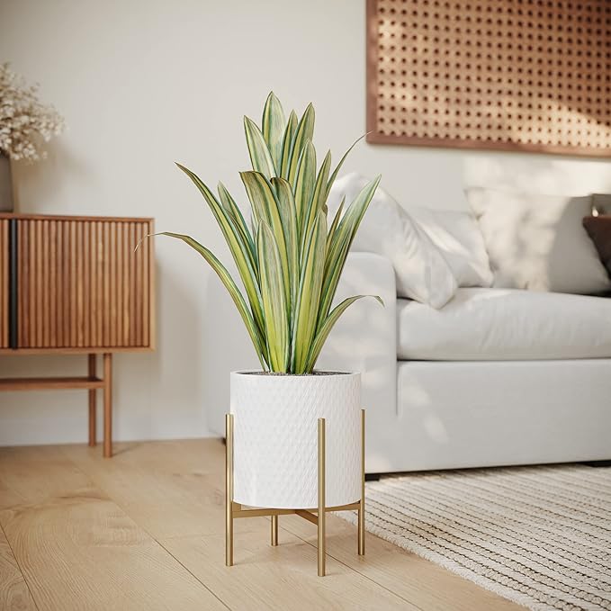 EverNest Claire Mid-Century Modern White Planter and Stand, Indoor Plant Pot, SelectBase, Minimalist Aesthetic, Home Decor for Plants - (Gold Base, Large)