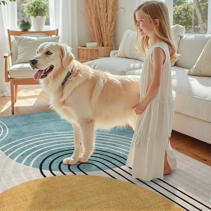 DCX 3x5 Area Rug, Machine Washable, Soft Mid Century Modern Rug Non Slip Stain Resistant for Entryway, Kitchen, Bedroom, Laundry, Bathroom, Blue & Yellow