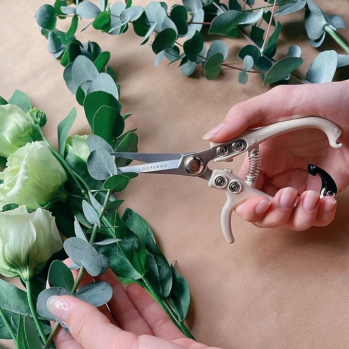 Plant Pruning Shears with Vegan Leather Sheath Garden Trimming Scissors with Belt Holster Bonsai Trimmers Herb Snips Flower Clippers Modern Tools 2 Piece Bundle (Cream Pruner Beige Sheath)