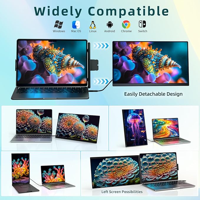 ROYY Laptop Screen Extender Dual Monitor - 15.6" Portable Monitor 85% NTSC IPS 1080P FHD Detachable Screen Extended Extra USB-C/HDMI Port Compatible with Wins Mac Dex Chrome Fits 13"-17" Laptops