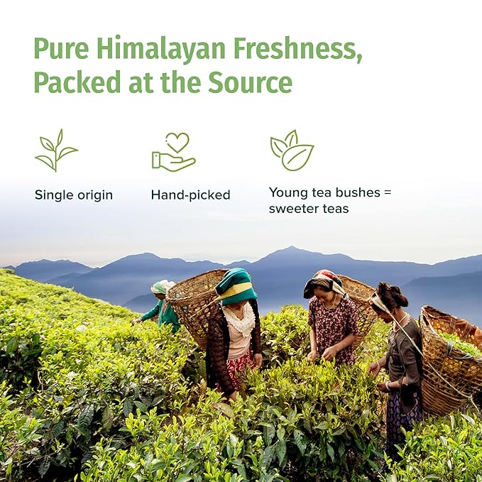NEPAL TEA Organic Green Tea Bags from the Himalayas - 15 Pyramid Tea Bags, Single Origin from a Family Farm - Green Tea Bags with Loose Leaf Tea Inside (Himalayan Mist)