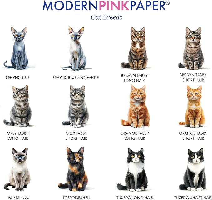 Personalized Stationery Folded Note Cards With Cats, FOLDED Watercolor Cat Stationery Card and Envelopes Set, Custom Gifts For Cat Lovers, Kitten Notecards, Your Choice of Colors and Quantity