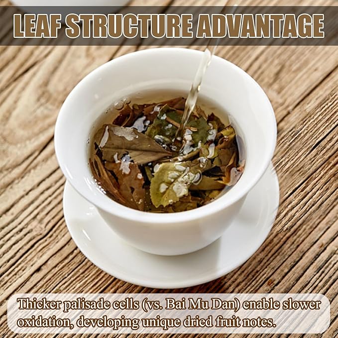 Organic White Tea Loose Leaf- Organic Loose Leaf Tea White Leaves Earthy Flavor Rich Antioxidants,300g /10.580z, No Additive,From 2019 Chinese Fujian Natural WildernessLeaves for Gifting, Daily