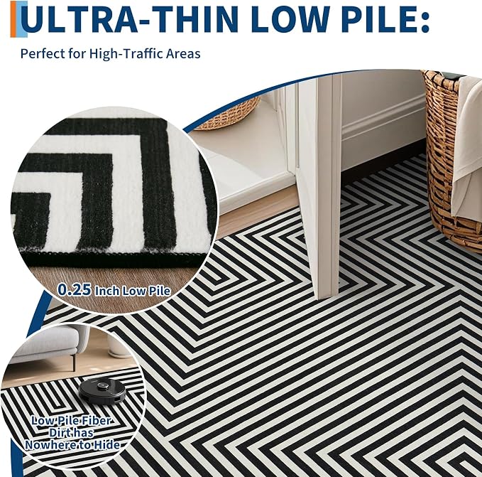Washable Modern Lines Rug 9x12 Area Rug for Living Room Neutral Modern Geometric Rugs Low Pile Soft Bedroom Carpet Thin Foldable Abstract Floor Carpet for Dining Kids Room Playroom, Black