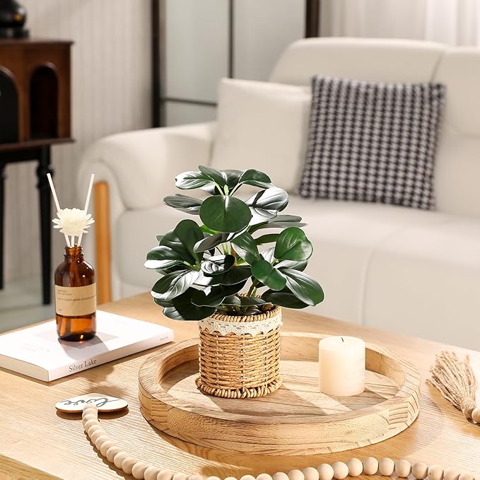 Nubry 2 Pack Fake Plants Artificial Potted Plants with Weaved Pot for Shelf & Table Desk | Perfect for Home Office Bathroom Farmhouse Room Coffee Table Decor 10‘’