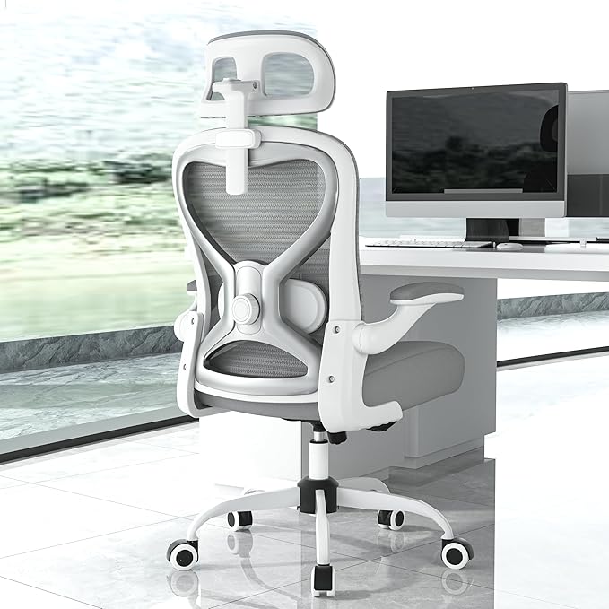 Ergonomic Office Chair for Back & Neck Pain Relief, Virgin Foam Seat, 2D Adjustable Lumbar & 3D Headrest, Tilt & Rock for Relaxation, Ideal for Long Sitting Comfort, Gray/Silver