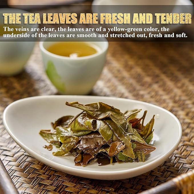 Organic White Tea Gift Box - 2022 Harvest Organic White Tea Premium Loose Leaf Tea Bags, 36 Pack x 5g Individually Wrapped, Fresh Chinese Leaves for Gifting, Enjoy Hot or Iced Brewing & Drinking