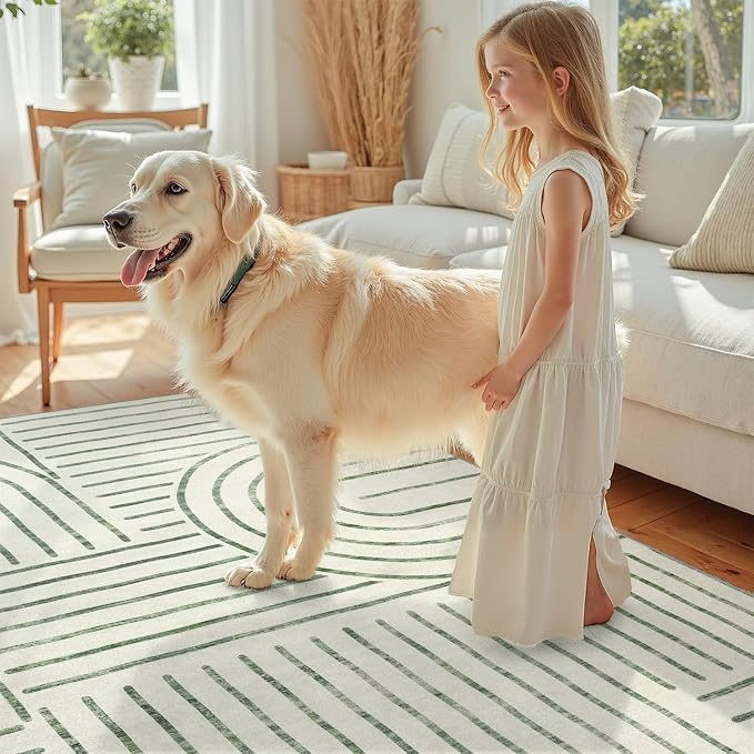 DCX Abstract Machine Washable 3x5 Rug, Sage Green Modern Accent Rug for Living Room, Soft Low Pile Non Slip Carpet, Kid & Pet Friendly Stain Resistant Rug for Bedroom Dining Room Office