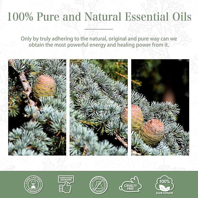 Cedarwood Essential Oil, 3.38Fl.Oz PHATOIL Pure Essential Oil Singles for Aromatherapy Diffusers, Humidifiers, Great for DIY Candle and Soap Making, Gift for Friend