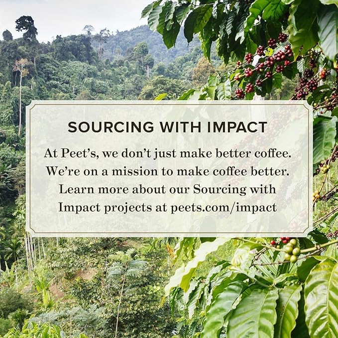 Peet's Coffee, Medium Roast Keurig K-Cup Pods, 100% Arabica Coffee - Big Bang 88 Count (4 Boxes of 22 Pods)