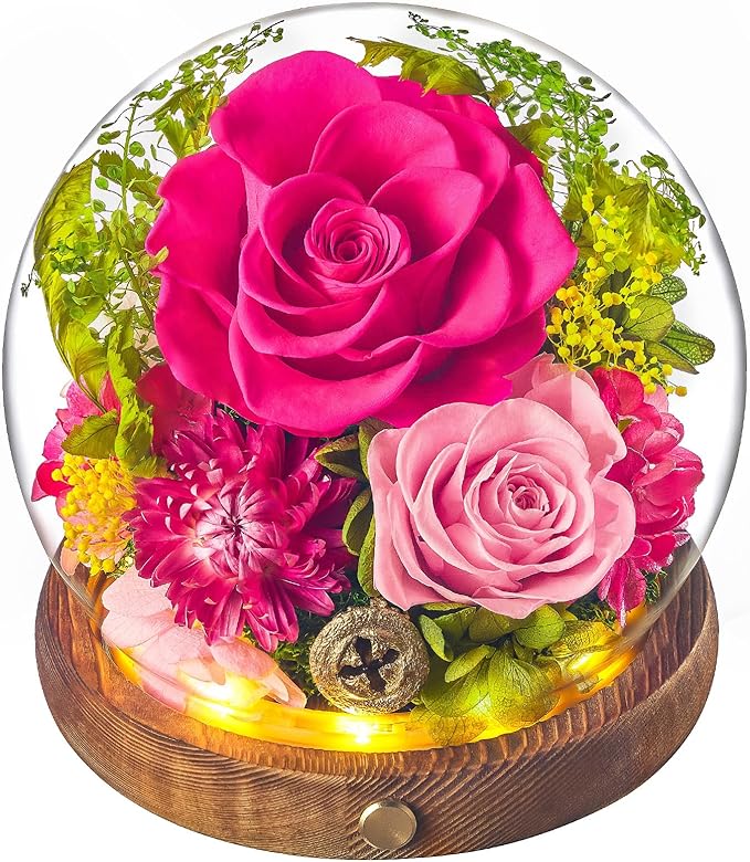 Forever Flowers for Delivery Prime, Preserved Rose in Glass Dome, Gifts for Women Birthday, Long-Lasting Flowers for Mom Wife Grandma Valentine's Day Mother's Day Christmas Anniversary, Hot Pink