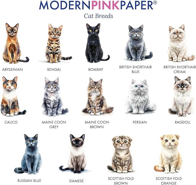 Personalized Stationery Folded Note Cards With Cats, FOLDED Watercolor Cat Stationery Card and Envelopes Set, Custom Gifts For Cat Lovers, Kitten Notecards, Your Choice of Colors and Quantity