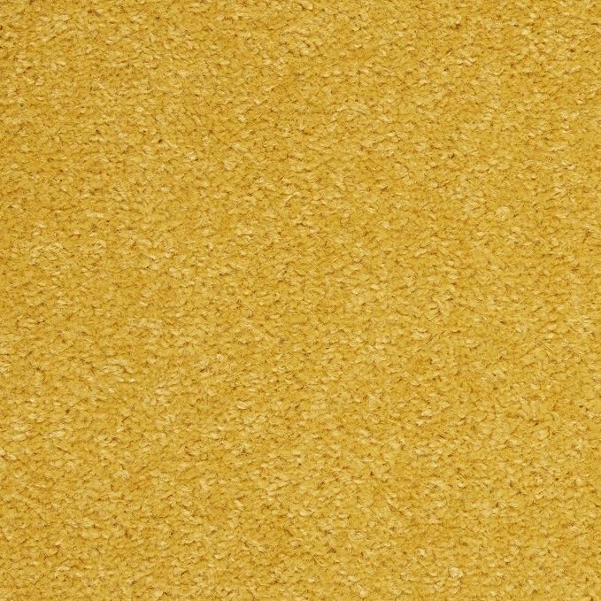 Nourison Home Nourison Essentials Yellow 5' x Square Area Rug - Easy Clean, Non Shedding, Bed Room, Living Room, Dining Room, Kitchen (5' x Square)