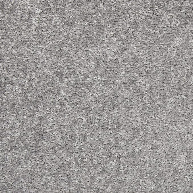 Nourison Home Nourison Essentials Silver Grey 3' x 5' Area Rug - Easy Clean, Non Shedding, Bed Room, Living Room, Dining Room, Kitchen (3' x 5')