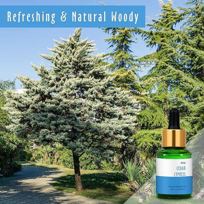 30ml Cedar Cypress Fragrance Oil, MitFlor Refreshing Fragrance Essentials Oil for Soap & Candle Making, Large Size Diffuser Oil Scents, Very Refreshing & Long-Lasting, Woody Scent for Home Fragrance