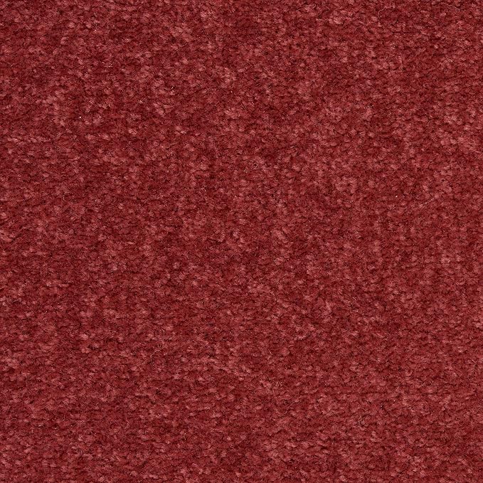 Nourison Home Nourison Essentials Brick Red 2' x 4' Area Rug - Easy Clean, Non Shedding, Bed Room, Living Room, Dining Room, Kitchen (2' x 4')