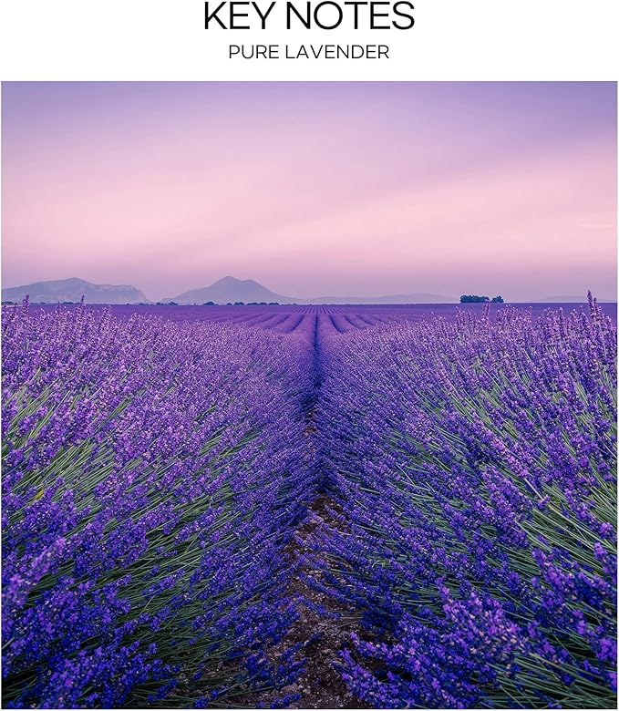 CULTURE & NATURE Pure Grade Essential Oil Diffuser (Pure Lavender)