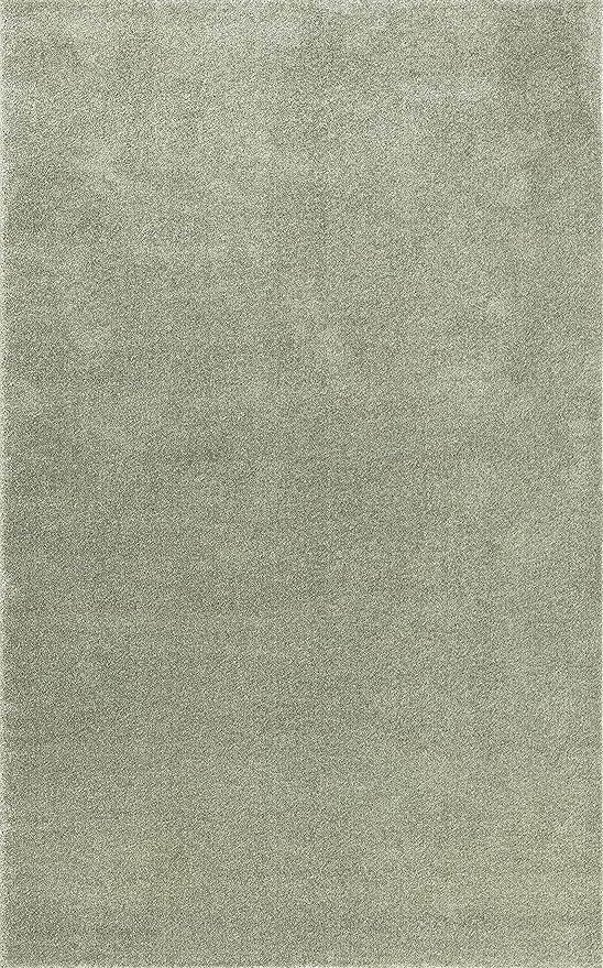 JONATHAN Y Haze Solid Low-Pile Green Indoor Area Rug 10x14, Coastal,Bohemian,Minimalist,Classic, Easy-Cleaning for Living Room,Bedroom,Kitchen,Pet Friendly,Non-Shedding (SEU100O-14)