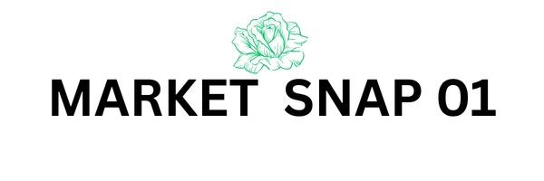Market Snap 01 